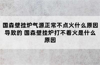 国森壁挂炉气源正常不点火什么原因导致的 国森壁挂炉打不着火是什么原因